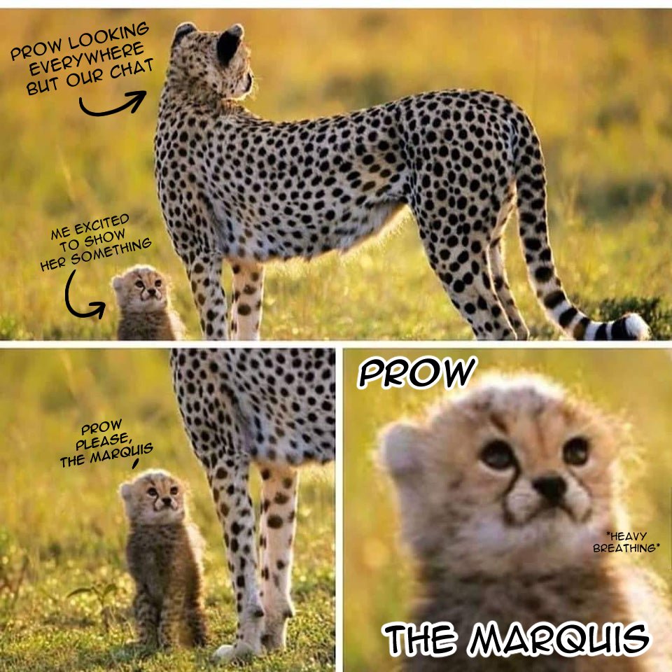 TheMagicBlueFox's tweet image. I had too much time on my hands this morning it would seem @prOwOfligate