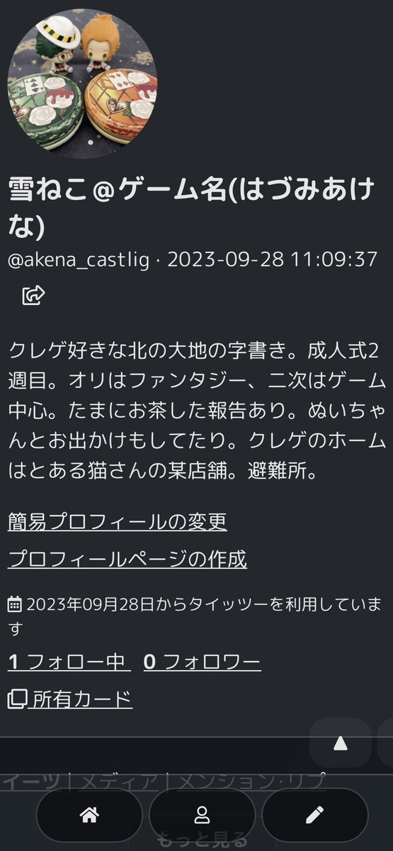 雪ねこ(旧あけな)@プレイヤーネームへ変更 tweet media