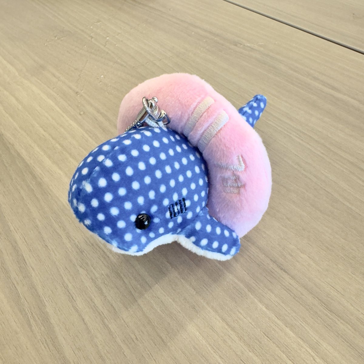 さややん！沖縄公演最高だったよ〜🌺

席が近くて、人生初の推しからのレスももらえて嬉しかった😭
見つけてくれてありがとう！

日付ごとに色が違う浮き輪のキーホルダーは7日が白×ピンクで、運命を感じて即購入した！

沖縄に連れてきてくれてありがとう！🌴

#谷崎早耶 #さややん #さやうさのおと