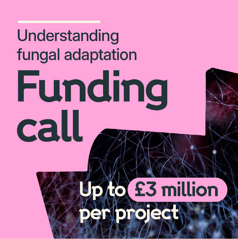 Dr Viv Goosens tweet media