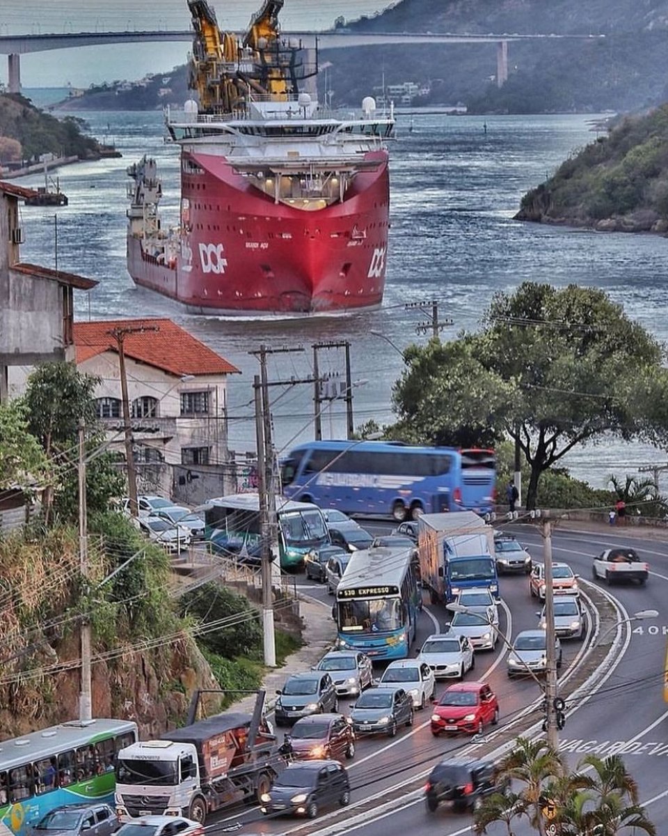 ESemDepressao's tweet photo. Vitorinha https://t.co/wI52jBzCPL