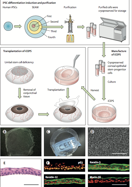 Gorka Orive tweet media