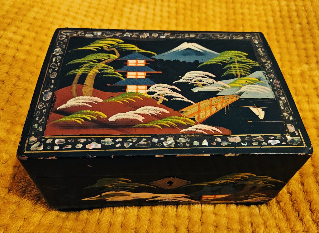 Dr Victoria Taylor 💛💙✈ tweet media