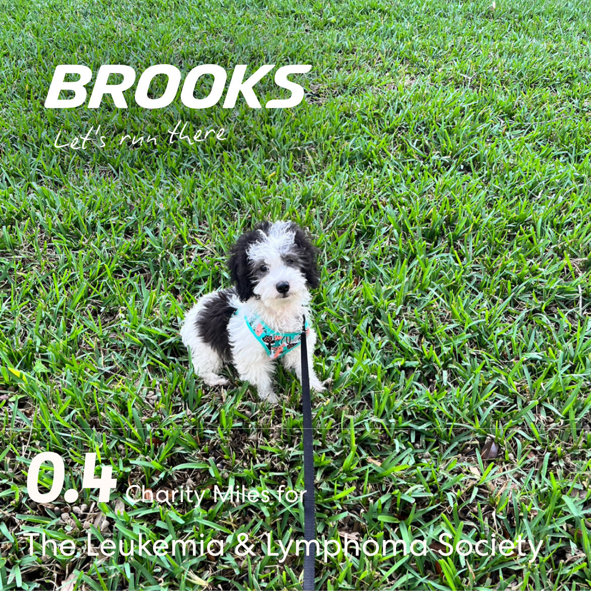 1st ⁦<a href="/CharityMiles/">Charity Miles</a>⁩ walk for this little pup. 💗
