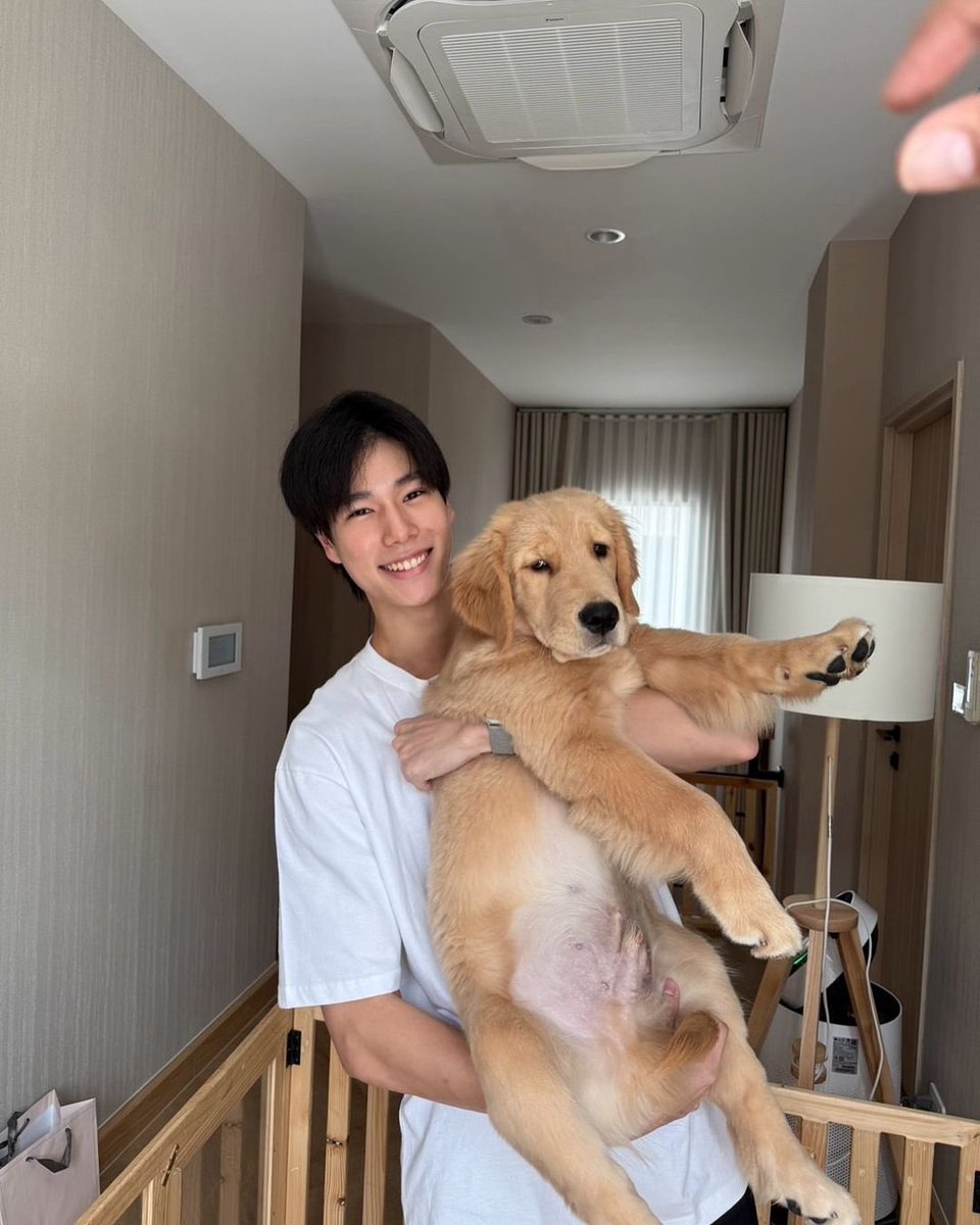 juni𓆟 mt after dm tweet media