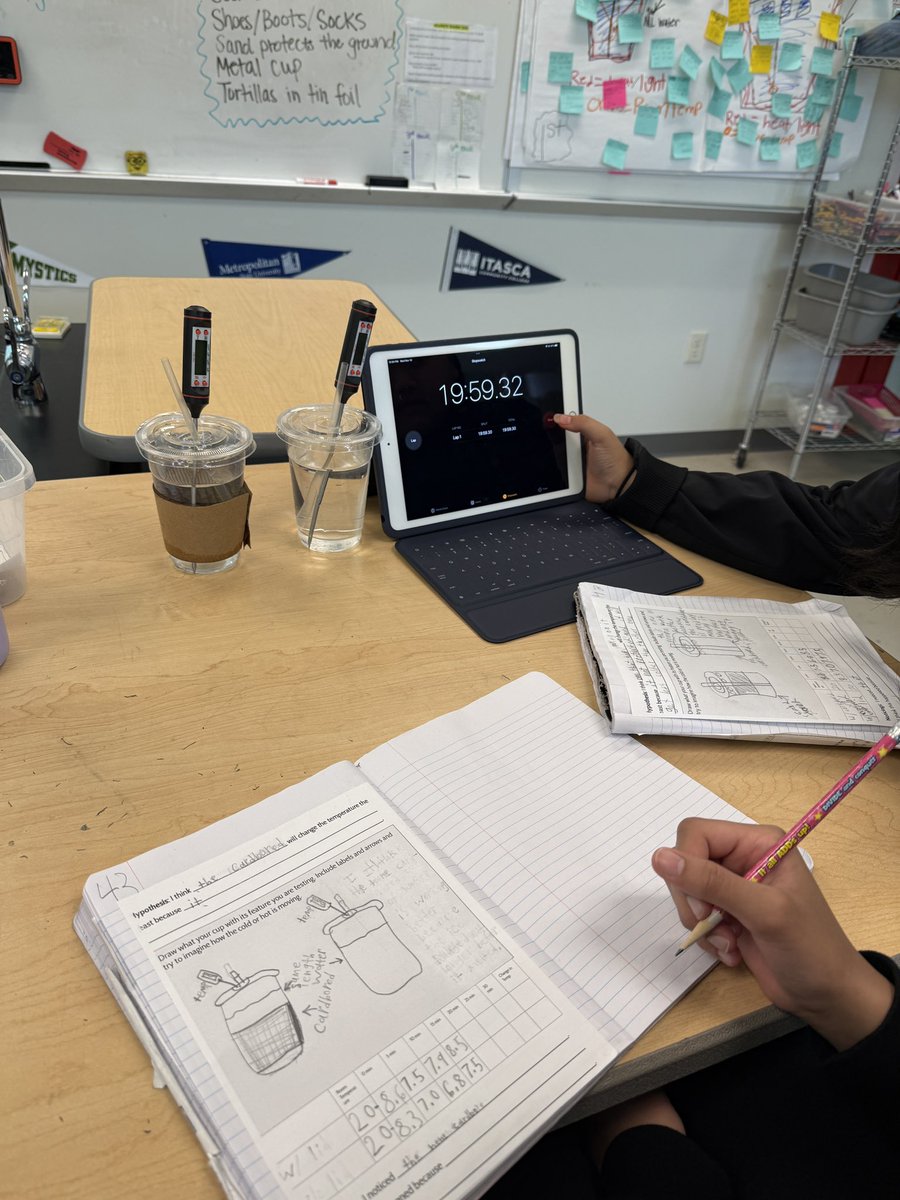 Emily Harer tweet media