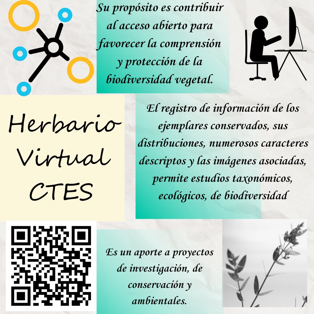 herbario_CTES's tweet photo. La digitalización de las colecciones botánicas del Herbario CTES es un avance significativo para la conservación, investigación y acceso abierto al conocimiento, consolidando la colección biológica de la institución como patrimonio invaluable para la región y toda la humanidad. https://t.co/eEDrhO7NrA