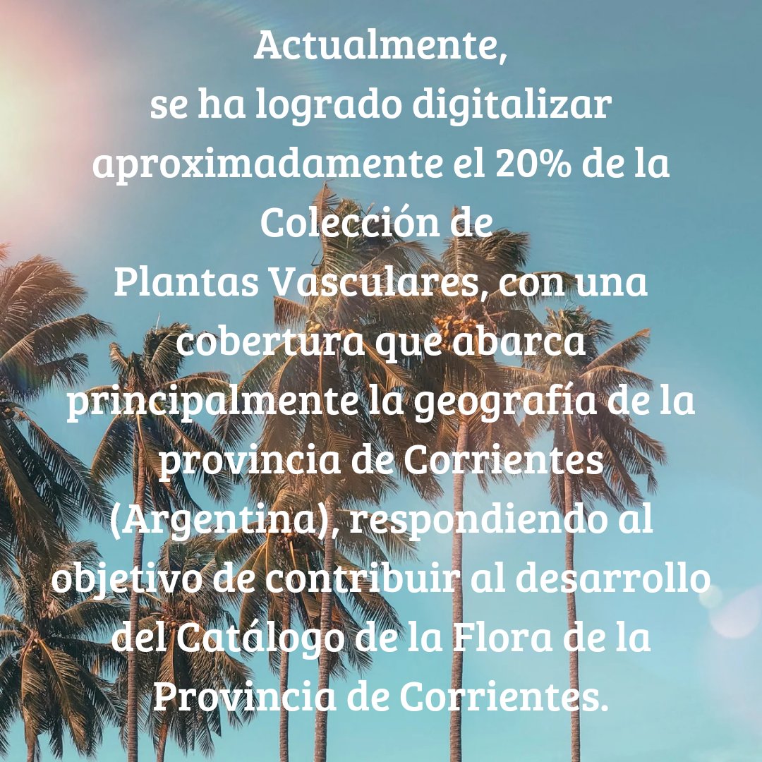 herbario_CTES's tweet photo. La digitalización de las colecciones botánicas del Herbario CTES es un avance significativo para la conservación, investigación y acceso abierto al conocimiento, consolidando la colección biológica de la institución como patrimonio invaluable para la región y toda la humanidad. https://t.co/eEDrhO7NrA