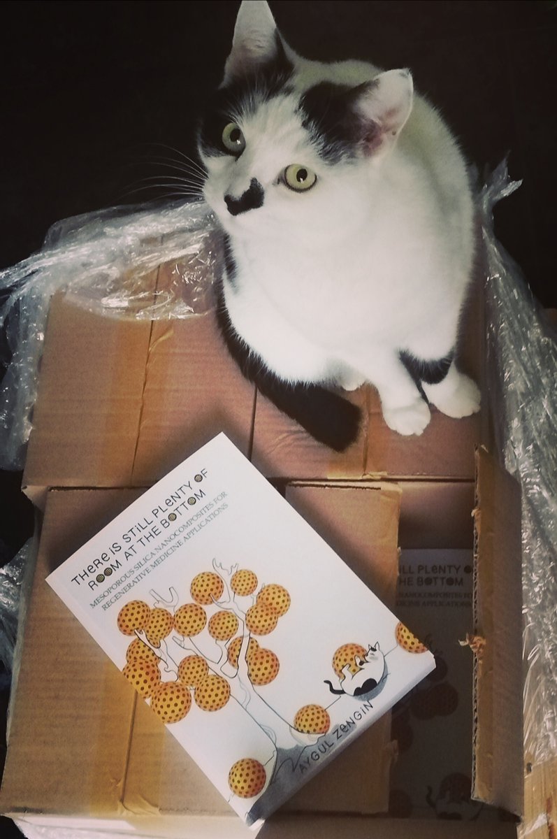 Finally, years of hard work on creating new types of nanocomposites and passion have come to life in book form! 🥳 I’m beyond thrilled to finally hold my PhD thesis in my hands!

Meanwhile, Lumi still can’t believe she’s on the cover!🐱