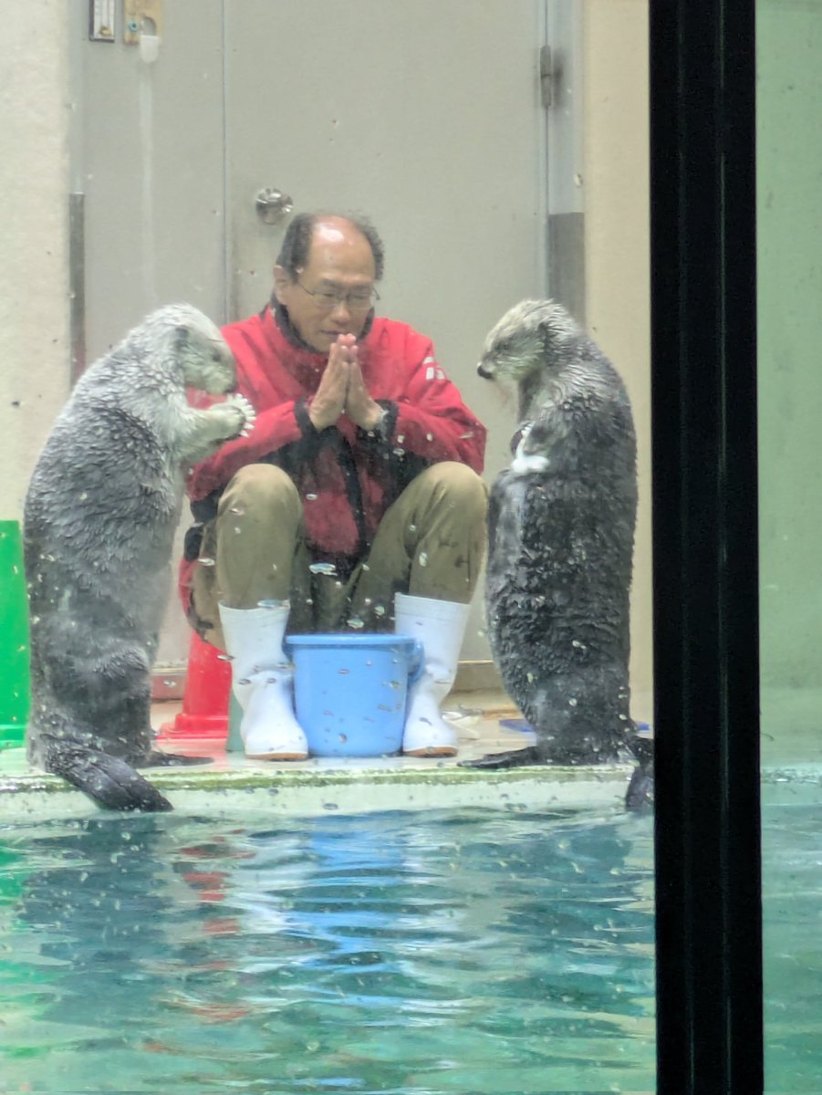 reopynkarin's tweet photo. 一泊二日で行ってきました。
すべてはこれのためにがんばってます。
今回はイレギュラーであんまりお話できなかったですが次の楽しみにとっておきます。
#鳥羽水族館 
#ラッコ
#セレナ https://t.co/iIP82J4CUJ