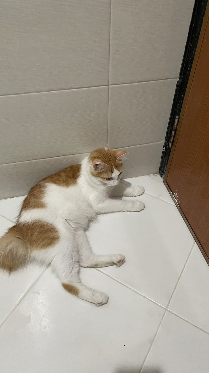 aku sedank menunggu kakak ee -mengy