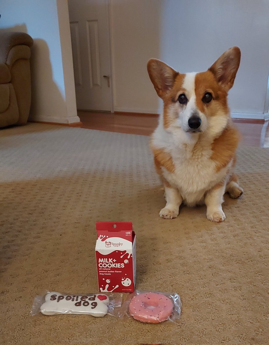 Carol🐊 tweet media