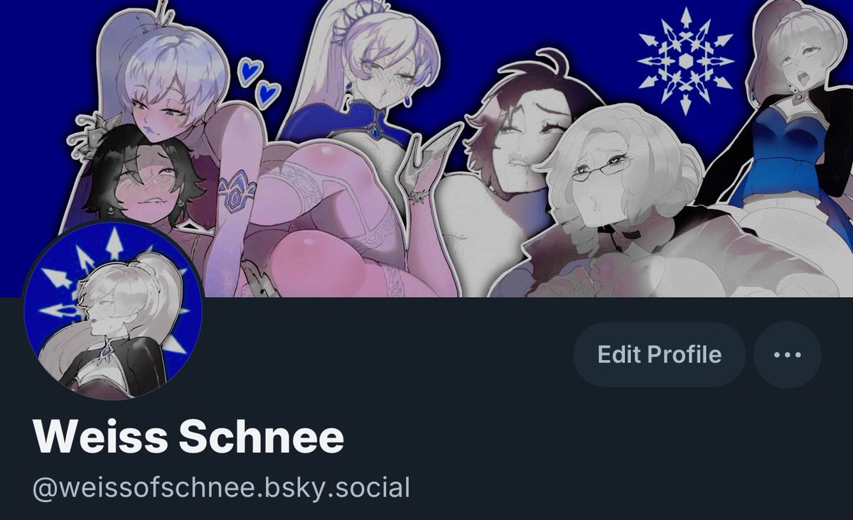 WEISSOFSCHNEE's tweet image. || since the death of the app is approaching us . I made a Blu*sky account .