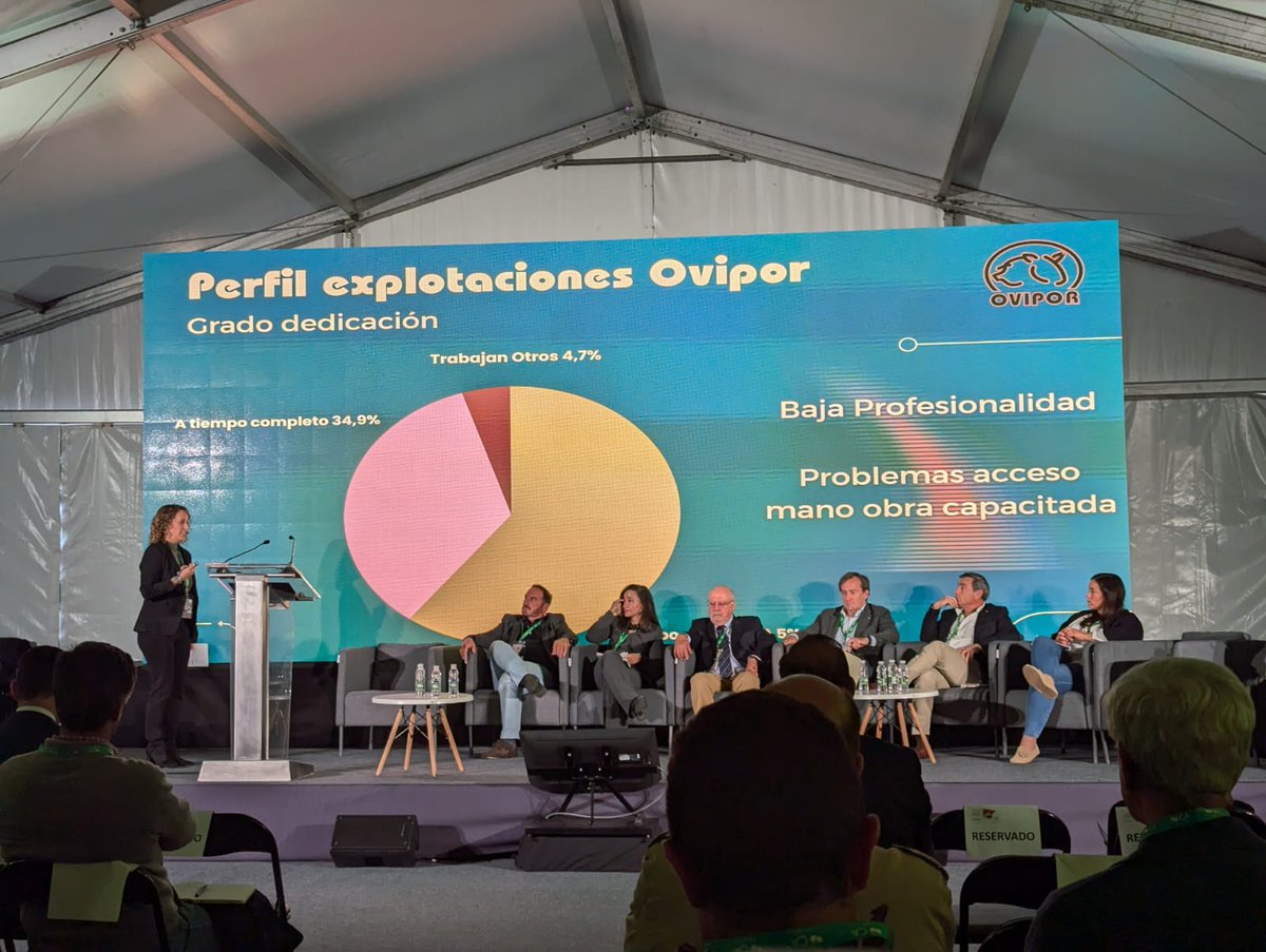 CoopsAgroES's tweet photo. En el Congreso #GanaderíaExtensiva se habla de #relevogeneracional participan las #cooperativas #ovipor Silvis Bermejo y @Covap @eleonp https://t.co/714tAbtCFf