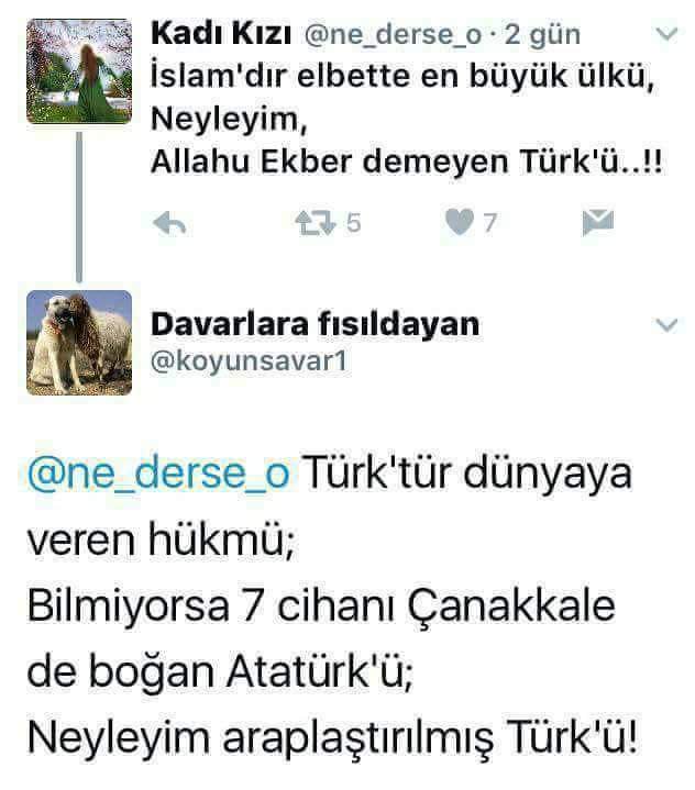 Saplamış köküne kadar mızrağı