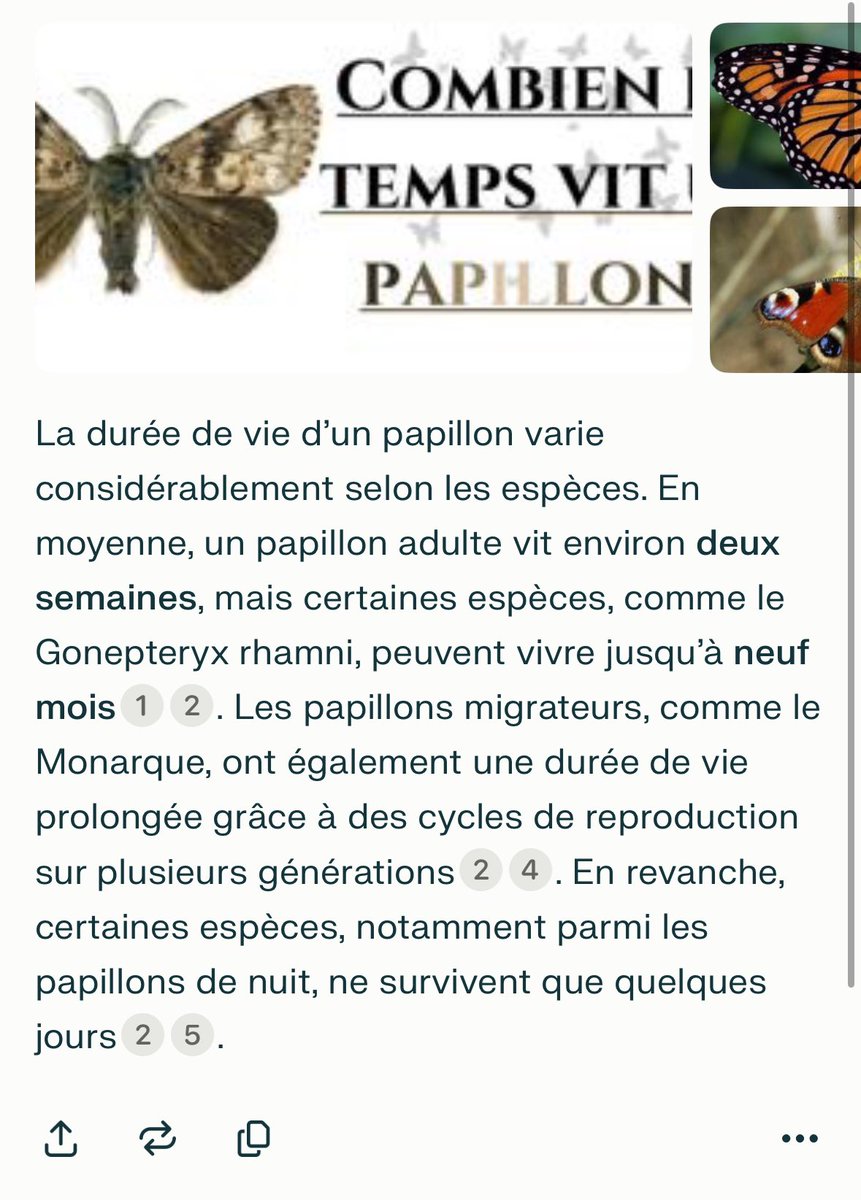 Arnaud Maïsetti tweet media