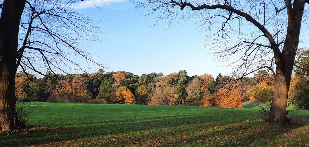 IpswichTouristGuides tweet media