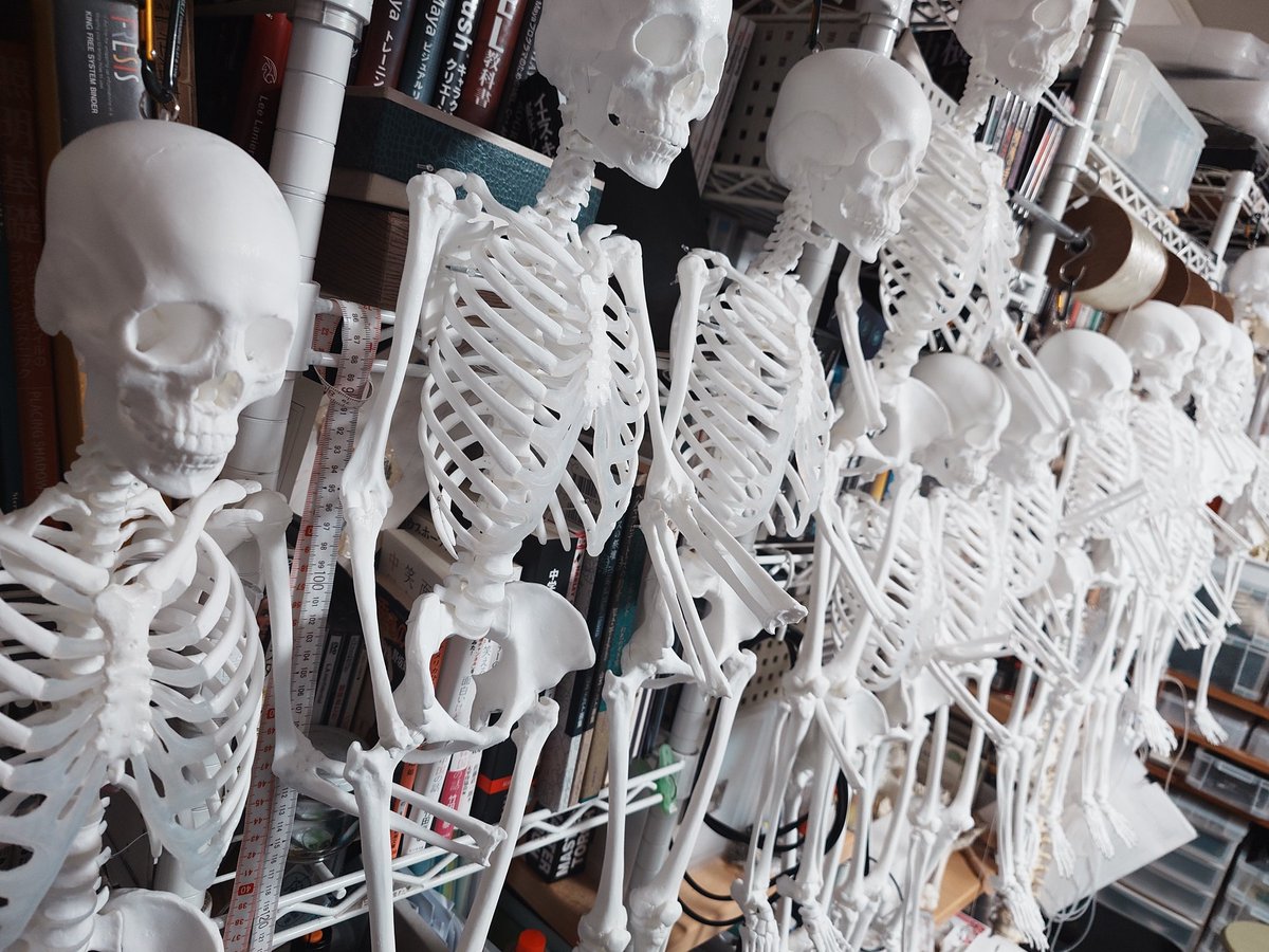 ①送料込み購入専用ページ2本分 中古】 yokosuka-zoukei よこすか造形 1/2