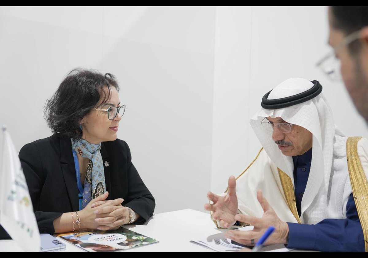 Ismahane Elouafi tweet media