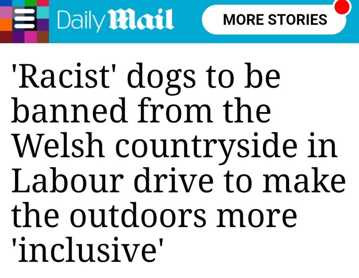 Alexarmstrong's tweet photo. F*cking hell 🤦‍♂️

Welsh Labour are calling for “dog free areas” because dogs are racist.

The Welsh govt said it is "committed to creating an anti-racist nation by 2030".

"Our anti-racist Wales action plan is built on the values of anti-racism and calls for zero tolerance of all racial inequality," they added.
