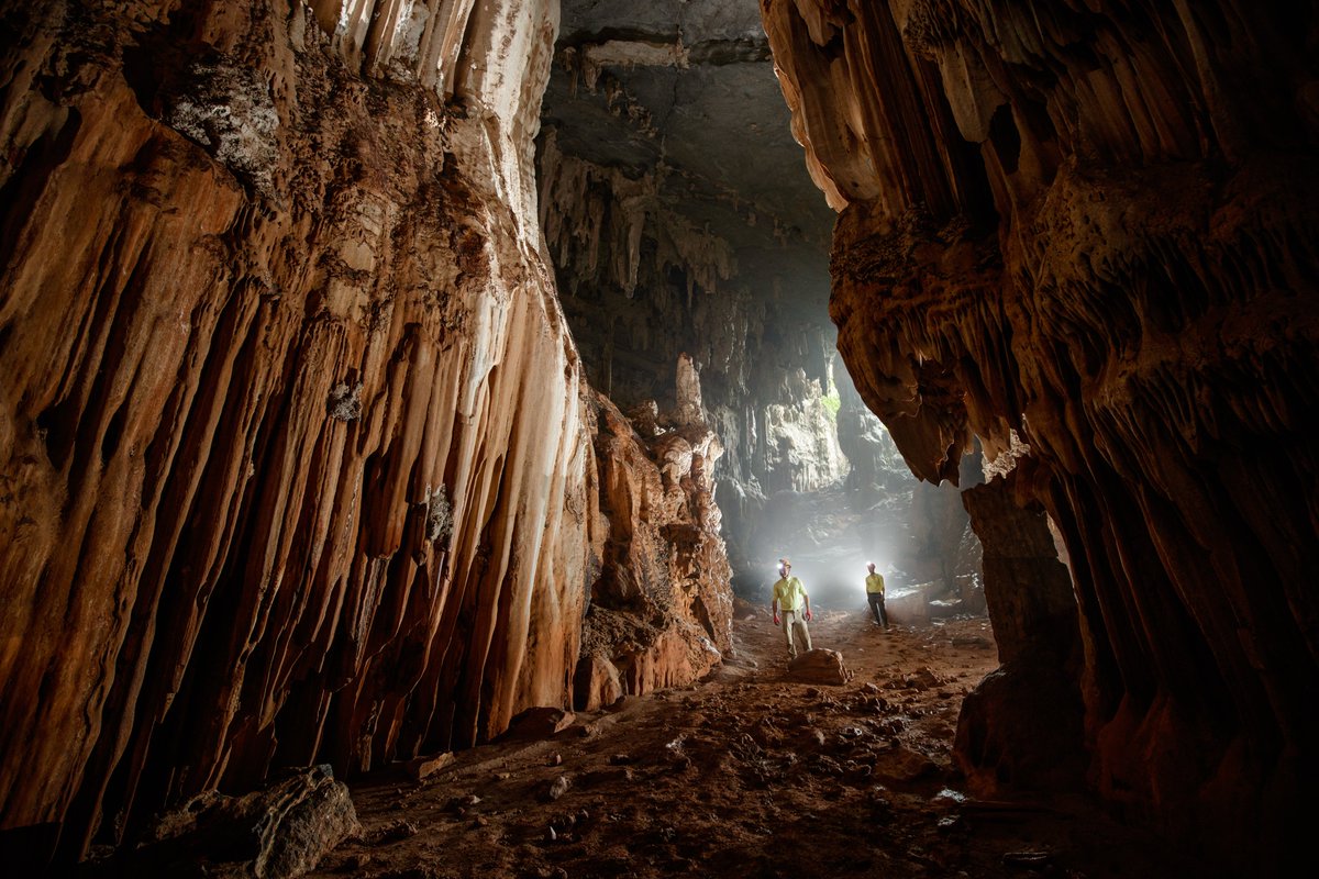 OxalisAdventure's tweet photo. From November 15, 2024, Oxalis officially resumes deep forest trekking and camping tours with exciting options:
⭐️ Tu Lan Cave Encounter (TL2)
⭐️ Wild Tu Lan Explorer (TL3)
⭐️ Hang Tien Endeavor (HT2)
⭐️ Hang Tien Exploration (HT3)
Are you ready to conquer these amazing journeys? https://t.co/CVJ0MV7yvX