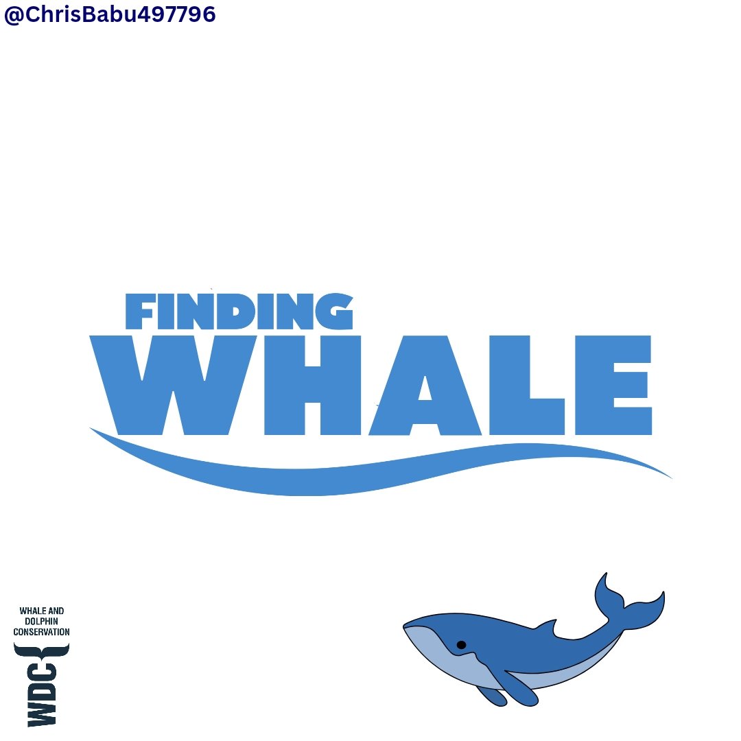 #4
One Minute Brief of the Day:
Create posters that celebrate whales as icons of the environmental movement and powerful symbols of our need to restore the ocean.
<a href="/whalesorg/">Whale and Dolphin Conservation (WDC)</a> #SaveTheWhaleSaveTheWorld #COP29

<a href="/OneMinuteBriefs/">One Minute Briefs ⏱️</a>