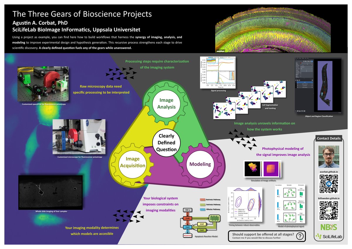 Agustin Corbat (@aacorbat) on Twitter photo I'm presenting a poster at <a href="/cziscience/">CZI Science</a> Imaging The Future on the Three Gears of BioScience Projects. I will discuss how #imaging, analysis and modelling synergize and are fueled by clearly defined questions, and also how far should support go. 10.6084/m9.figshare.27725865 I'm presenting a poster at <a href="/cziscience/">CZI Science</a> Imaging The Future on the Three Gears of BioScience Projects. I will discuss how #imaging, analysis and modelling synergize and are fueled by clearly defined questions, and also how far should support go. 10.6084/m9.figshare.27725865