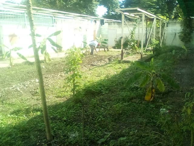 Preparando el Patio Productivo Robinsoniano ubicado en las Instalaciones de la BMS Camino de Los Libertadores del Sur. Siembra de Tomate perita, Cebollín, Batata, Ají dulce, Calabacín, Yuca y Cambur.
@hectorodriguezcastro <a href="/dellraly/">DERA</a>
@misionrobinsonaragua <a href="/sociabolivarian/">Lilian Oropeza</a> <a href="/74jjnews/">JJNEWS</a>