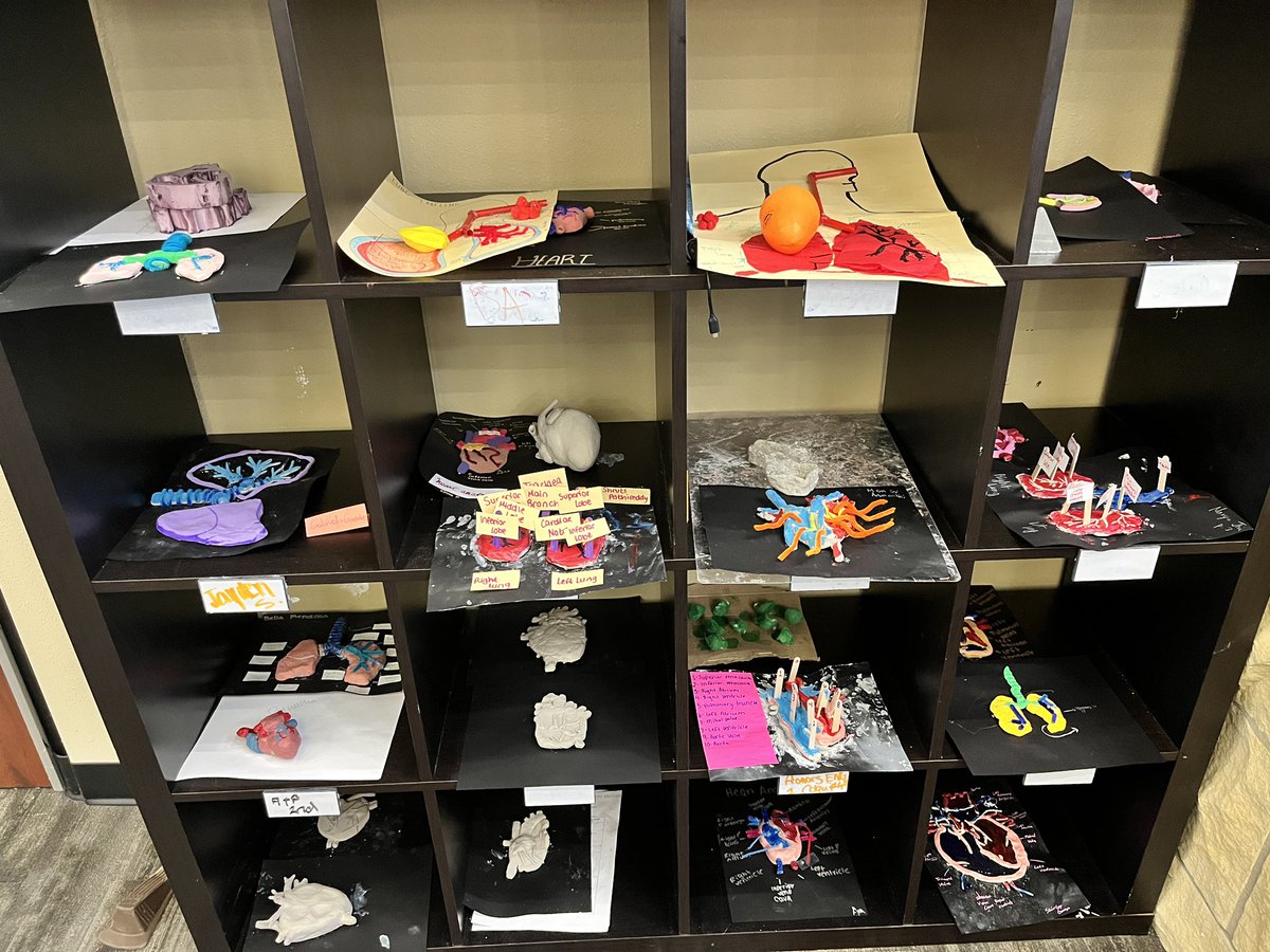 PHS Future Ready Designers (@phs_thenest) on Twitter photo Loved having <a href="/collincollege/">Collin College</a> Med Term in the Nest today making anatomical heart and lung models! <a href="/ProsperHS/">Prosper High School</a> <a href="/PISD_Libraries/">Prosper ISD Library Services</a> #THEship Loved having <a href="/collincollege/">Collin College</a> Med Term in the Nest today making anatomical heart and lung models! <a href="/ProsperHS/">Prosper High School</a> <a href="/PISD_Libraries/">Prosper ISD Library Services</a> #THEship