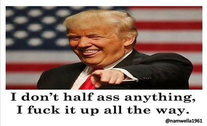 namwella1961's tweet image. The economy was the driving concern in the election &amp;amp; people thought Trump was the better choice to fix it.

The moron thinks you need ID to buy groceries &amp;amp; toilets have to be flushed 15 times, but sure he’s going to fix it.🙄
#ProudBlue #TrumpClownShow #NeverTrump #ResistTrump
