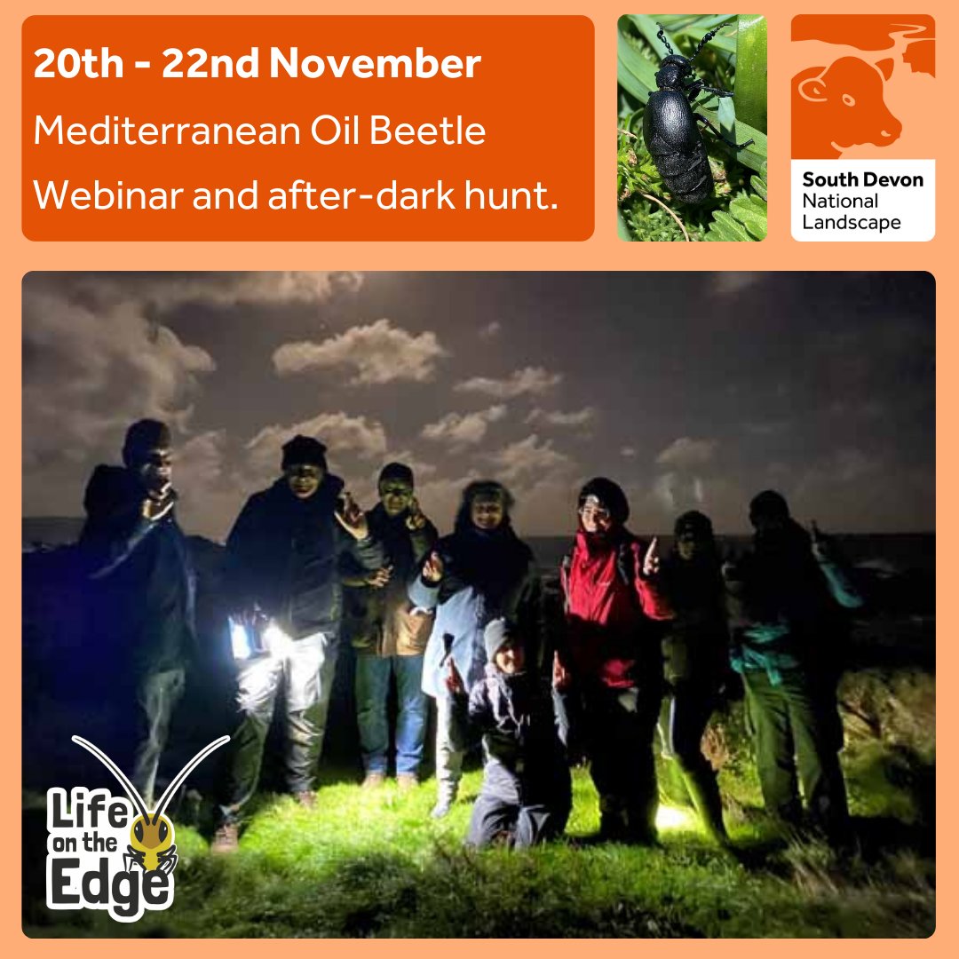 South Devon National Landscape (@southdevonnl) on Twitter photo 📢Free ecological training event.
Discover this rare species at our upcoming webinar, then don your headtorches for an after-dark beetle hunt.
Webinar: 6-7:30pm Wednesday 20th, via Zoom
Beetle hunt: 7:30-9:30pm Friday 22nd, Start Point.
To book, email lote@southdevon-nl.org.uk 📢Free ecological training event.
Discover this rare species at our upcoming webinar, then don your headtorches for an after-dark beetle hunt.
Webinar: 6-7:30pm Wednesday 20th, via Zoom
Beetle hunt: 7:30-9:30pm Friday 22nd, Start Point.
To book, email lote@southdevon-nl.org.uk