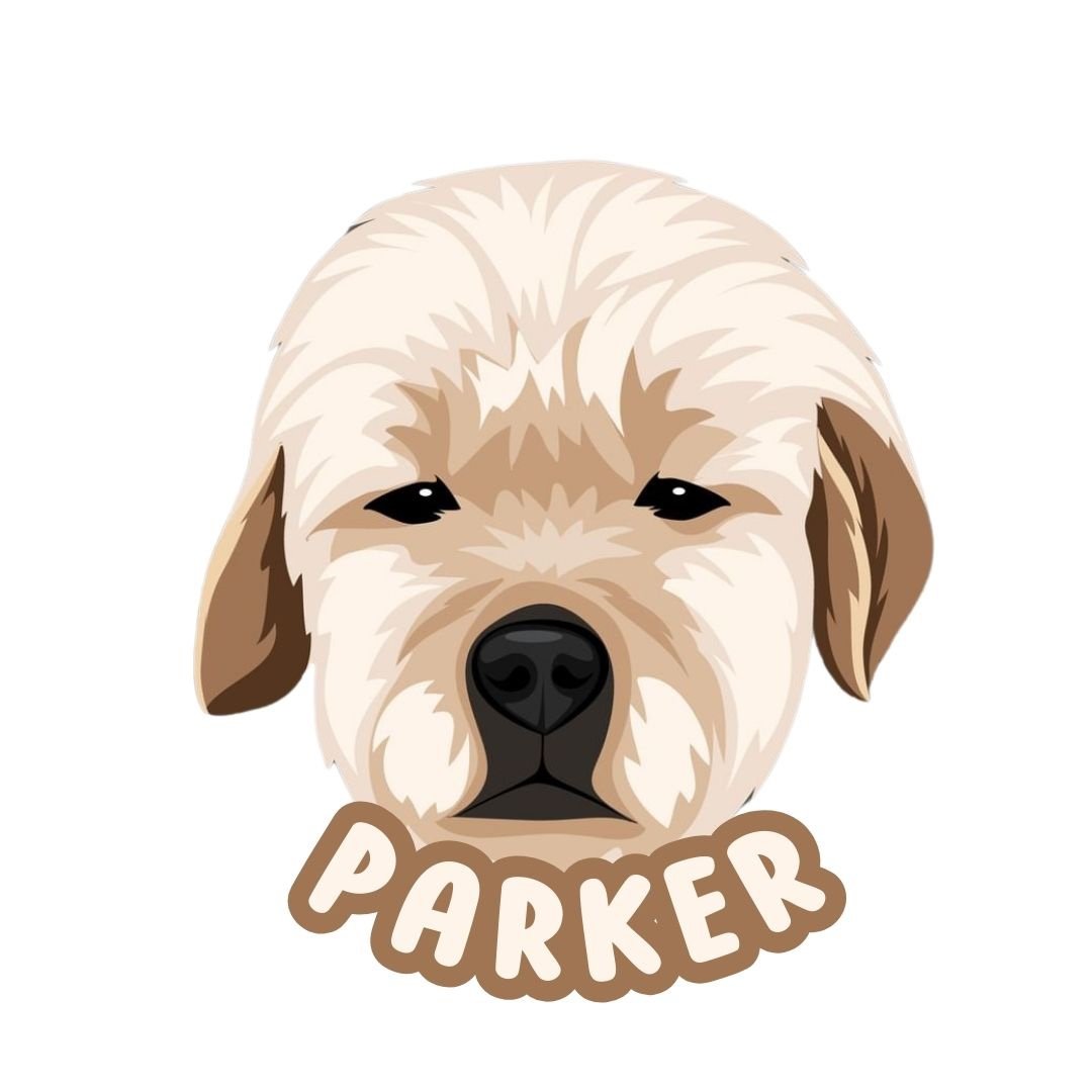 TaRn シ tweet media