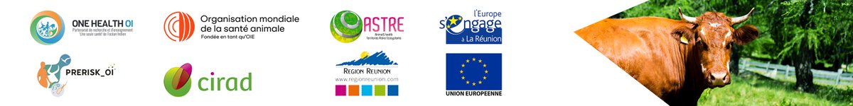 inTeR_dPs 🌍 tweet media