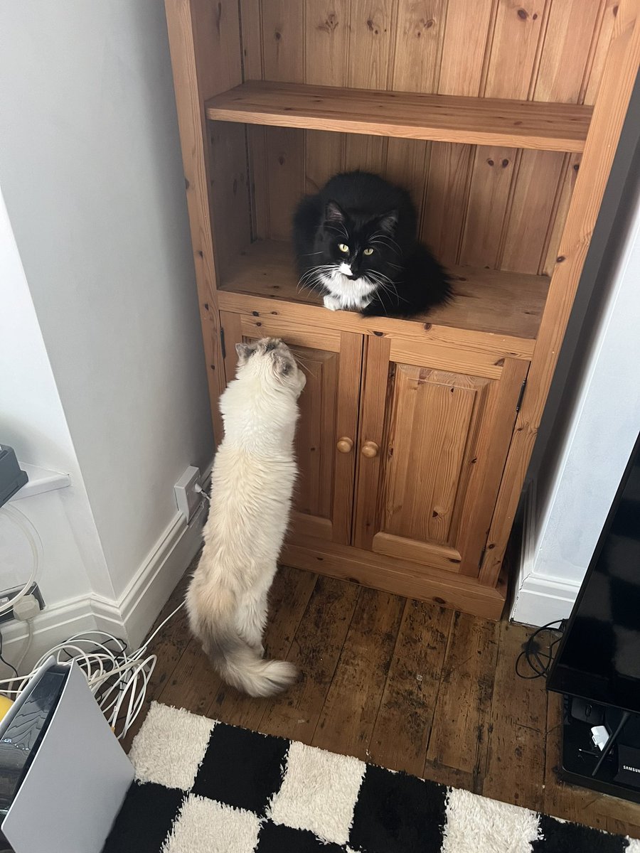 ♡ali♡ tweet media