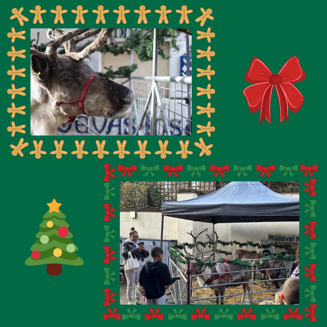 Devas Youth Club tweet media