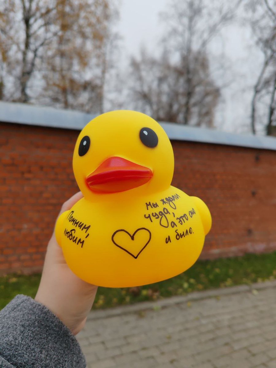 Была у Алексея. Передала привет и цветы от всех, кто не может прийти.
Футурама увидела меня ещё когда я заходила в ворота, сразу подбежала и запрыгнула на руки.