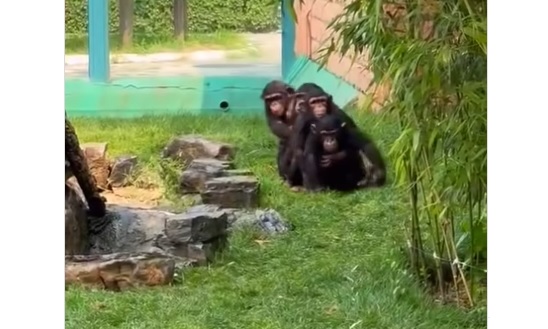 Wonkette tweet media