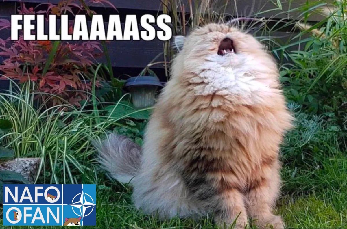 Fellas this is how you wanted to stick together until Ukraine victory? Because you lost the election you are running away ? This is how you showed the strong support for Ukraine??!!! Very disappointing 😔 I thought you were stronger but … We are here to support Ukraine and