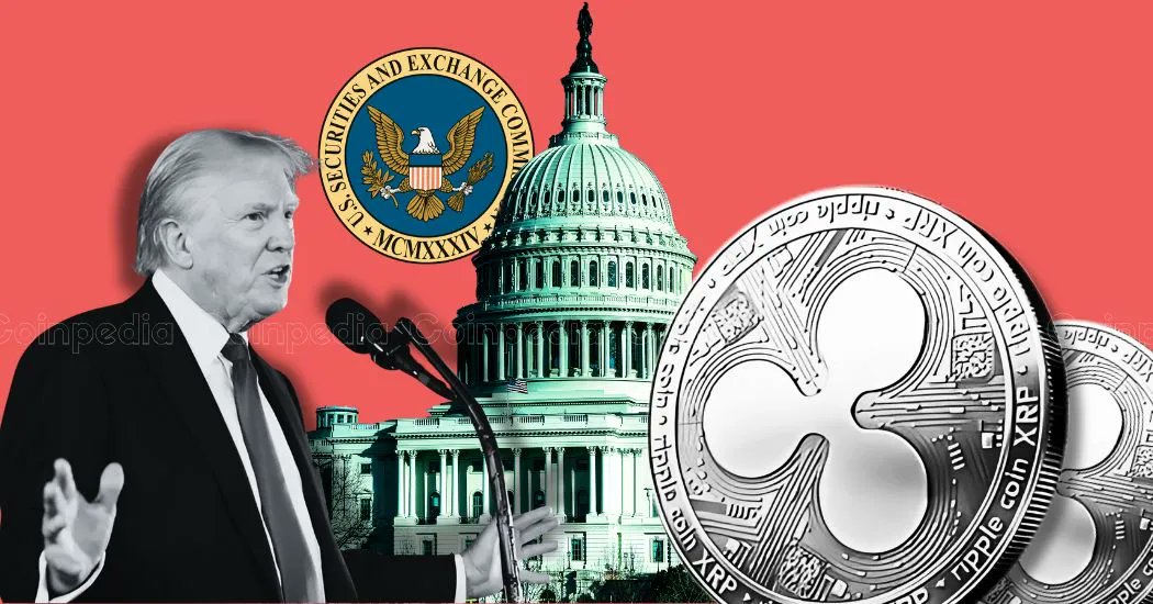 RippleXrpie's tweet photo. 🚨BREAKING: Judge Grants Order on Final Judgment and Stay in #XRP Lawsuit! https://t.co/Z3Lf6qG8ep