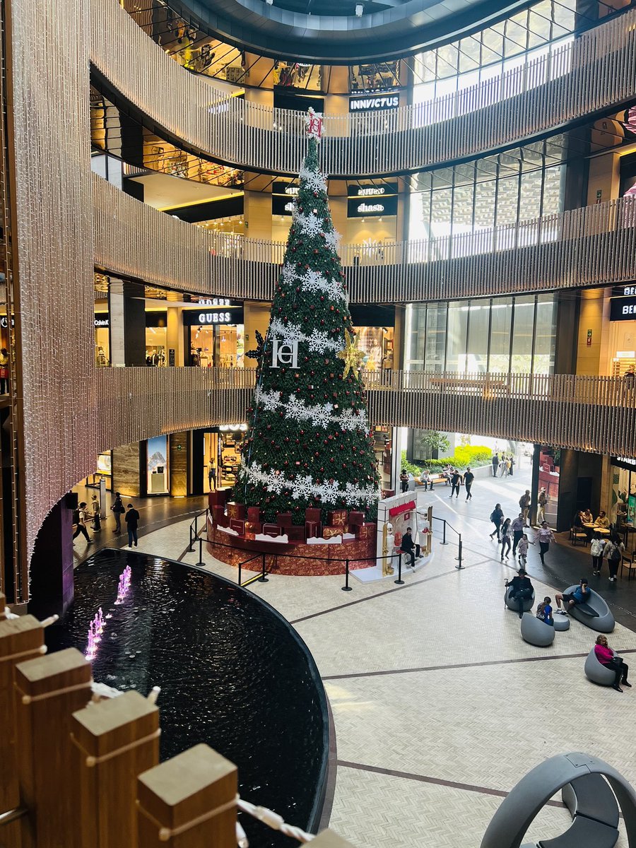 FerDarianaSw tweet media