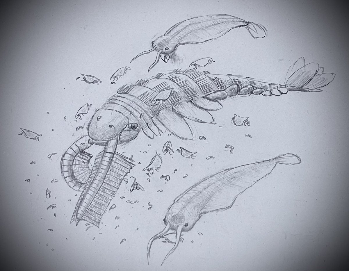 IKEKAWA_fallake's tweet photo. #Paleoart
#SiriusPasset
#radiodonta
#tamisiocaris
#Chaetognatha
Filter and Hunter:Tamisiocaris borealis and Timorebestia koprii https://t.co/NrM9Lwy5Bt