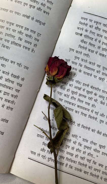 ✍️
____________________________________
मुलाकातों से ठीक पहले का इंतज़ार 

जैसे पेड़ों को फूल और फूलों को किताबों का इंतज़ार 
____________________________________