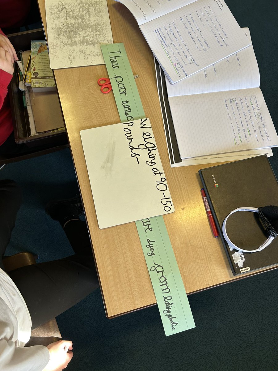 We were practising adding parenthesis using brackets this week. Sentence strips were super helpful! #BGWriting <a href="/theliteracytree/">Literacy Tree</a>