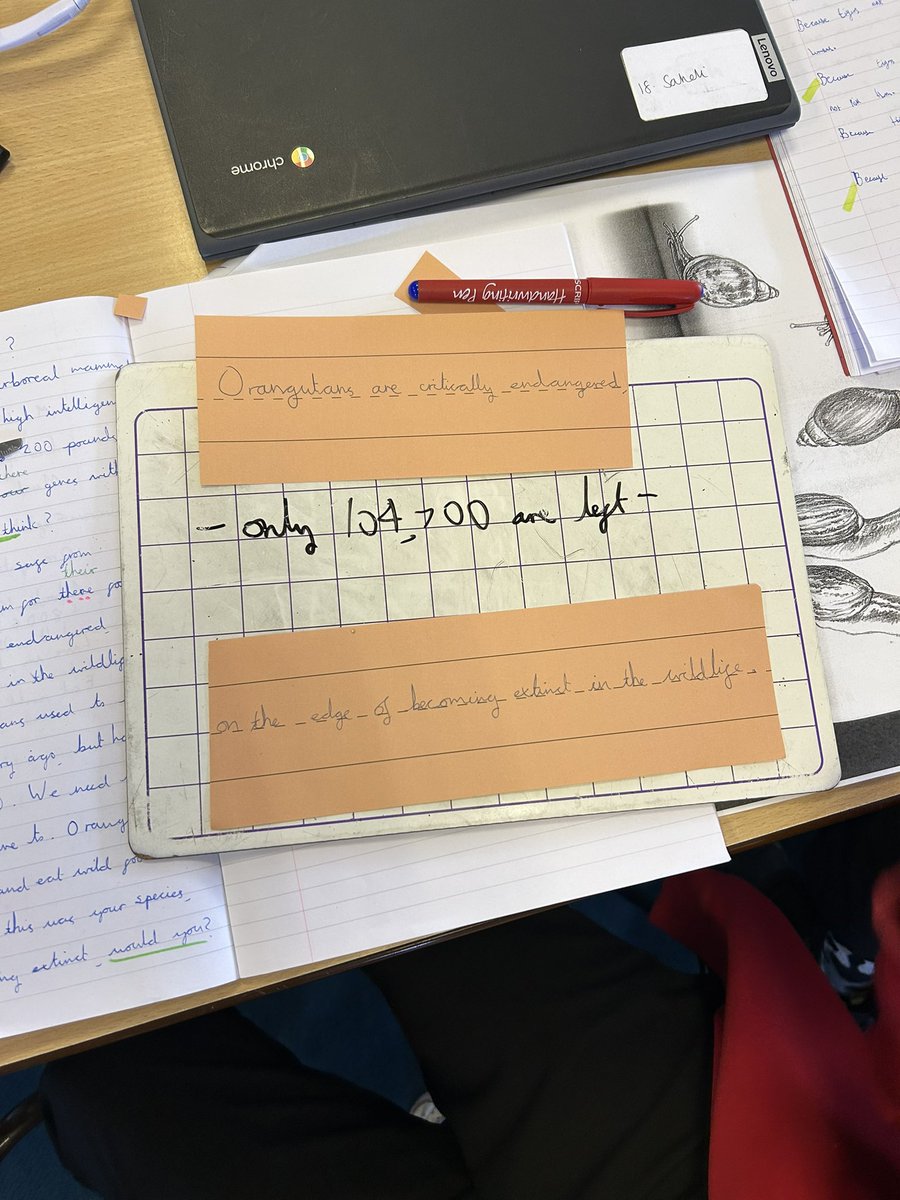 Foxes @ Burton Green Primary tweet media