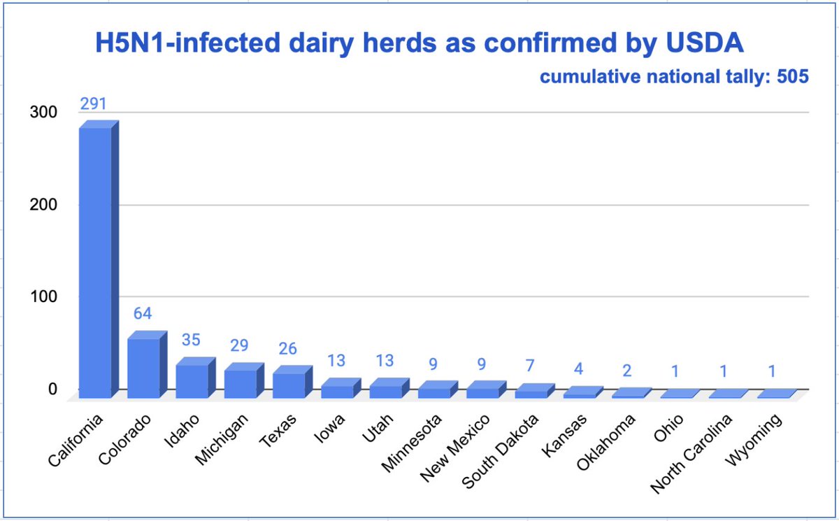 HelenBranswell's tweet photo. .@USDA confirms 13 more dairy herds in California have been infected with #H5N1 #birdflu. The cumulative national total is now 505 herds in 15 states. California is posed to crack the 300 herds mark soon.  About the burning itself out thing....
https://t.co/2BioBG0wUw https://t.co/tyIEz687Go