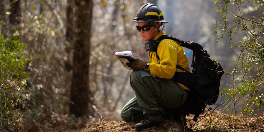 DOIWildlandFire's tweet image. International Girls Day fosters confidence and inspires girls to follow their dreams. There are many women in wildland fire management who make a difference every single day. Way to go, ladies! 

#GirlsBelongHere #NotYourOrdinaryJob