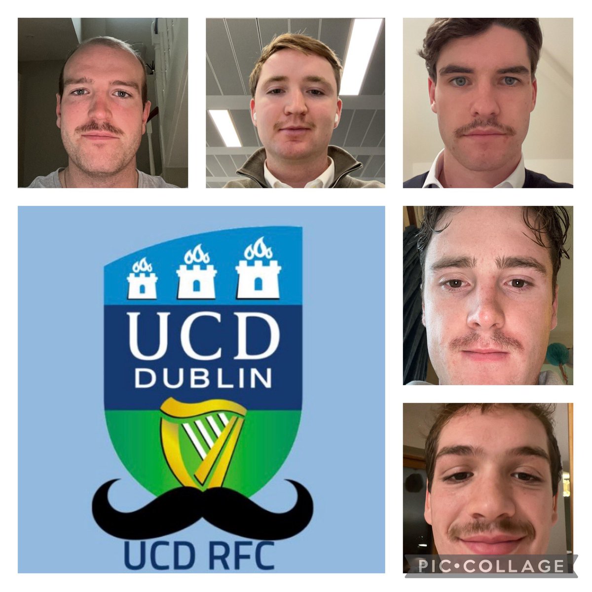 UCDRugby's tweet photo. Members of UCD RFC are taking part in Movemeber this year with all proceeds going towards men’s mental health, an incredibly important cause 

2 week update for those involved below 👇 

Please click the link in our bio to donate 🙏🙏

#GrowaMoSaveaBro https://t.co/QFeG7mmHup