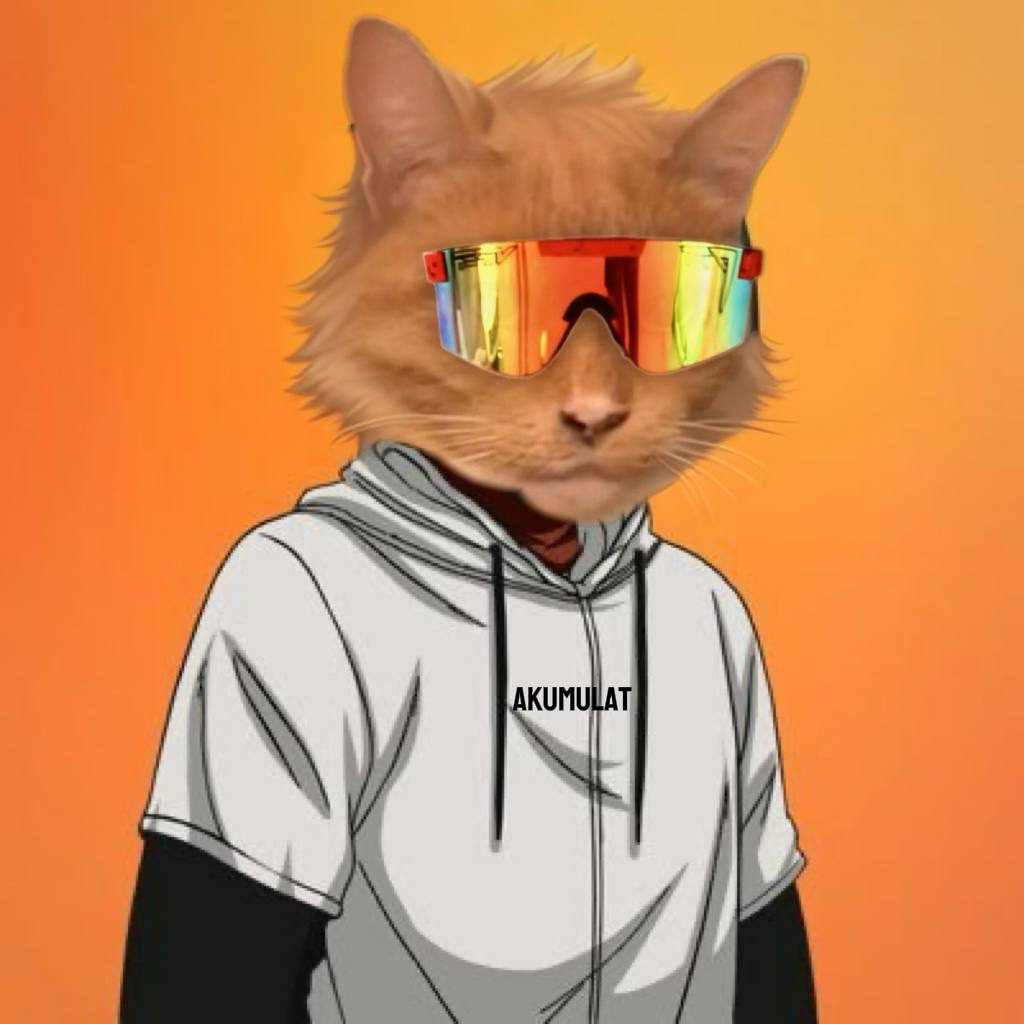 $akumulat n' chill