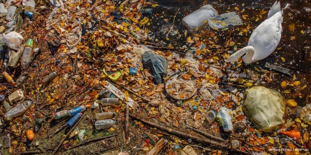 No #WaterResilience without clean water❗️

But <a href="/Europarl_EN/">European Parliament</a> is delaying needed updates to #ProtectWater 🔴

We call on MEPs to listen to the vast majority of Europeans demanding more EU action on water pollution and start the #trilogue negotiations on EU water pollution standards