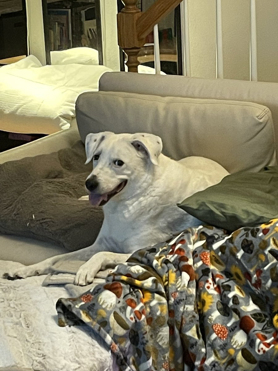 Stress Freehon tweet media